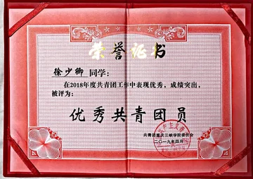 优秀共青团员