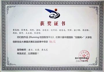 第六届中国国际互联网+大赛重庆市铜奖2