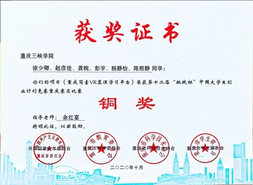 第十二届挑战杯创业计划竞赛重庆市铜奖